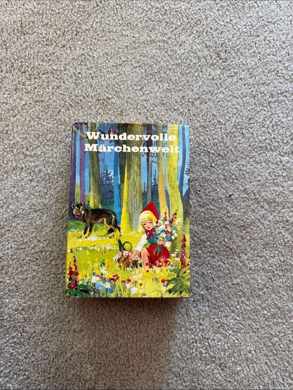 Wundervolle Märchenwelt Illustrated Fairy Tale Book -